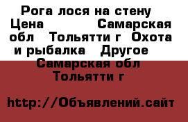  Рога лося на стену › Цена ­ 1 000 - Самарская обл., Тольятти г. Охота и рыбалка » Другое   . Самарская обл.,Тольятти г.